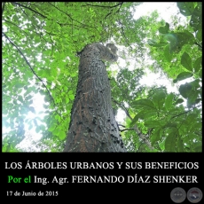 LOS RBOLES URBANOS Y SUS BENEFICIOS - Ing. Agr. FERNANDO DAZ SHENKER - 17 de Junio de 2015